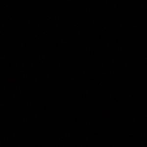 Meet your Posher, Larry